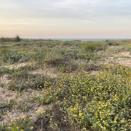 Appartement Lugar Junto Al Mar *